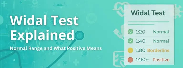 Widal Test Means: What It Is, Normal Range and What Positive Means