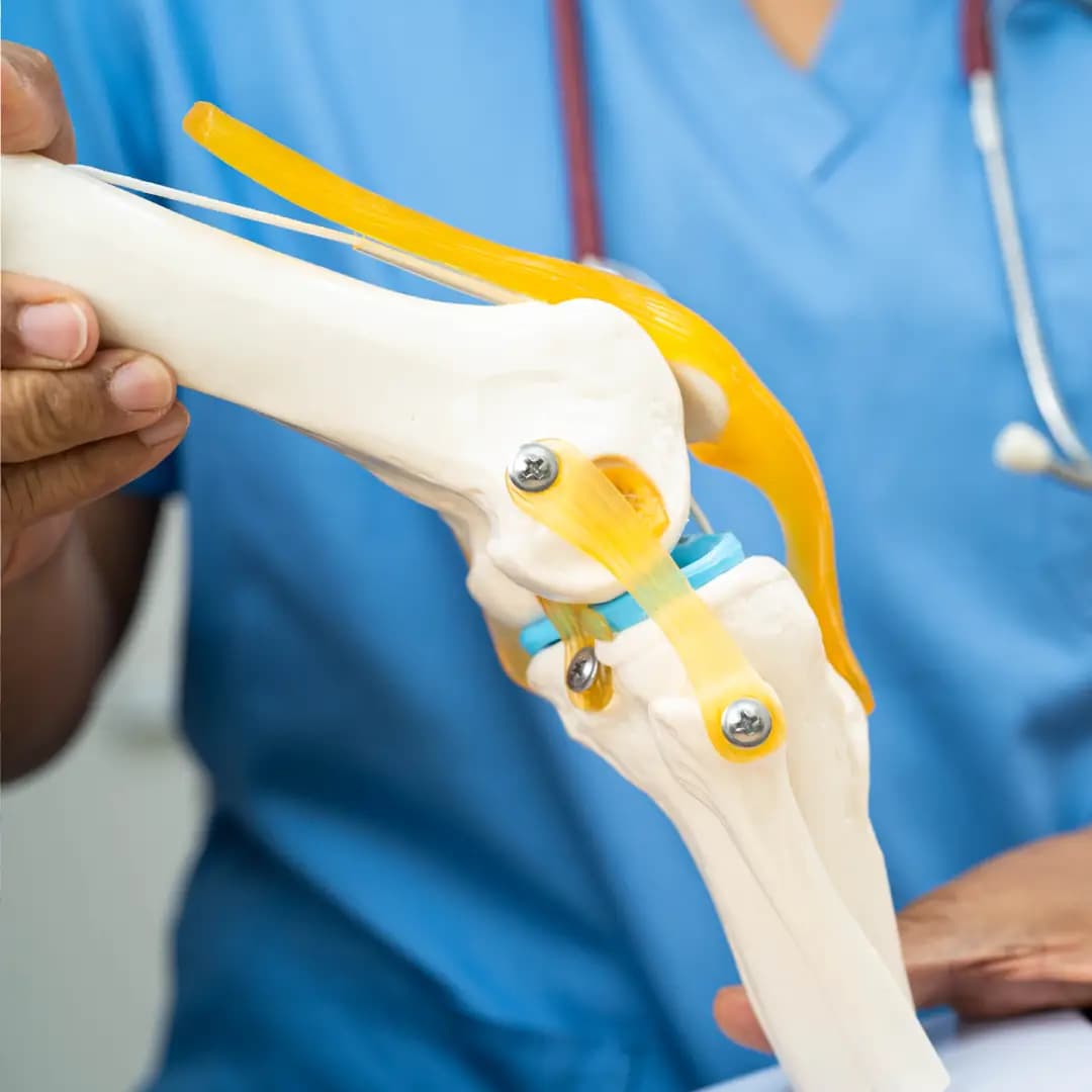 Orthopedic Doctor