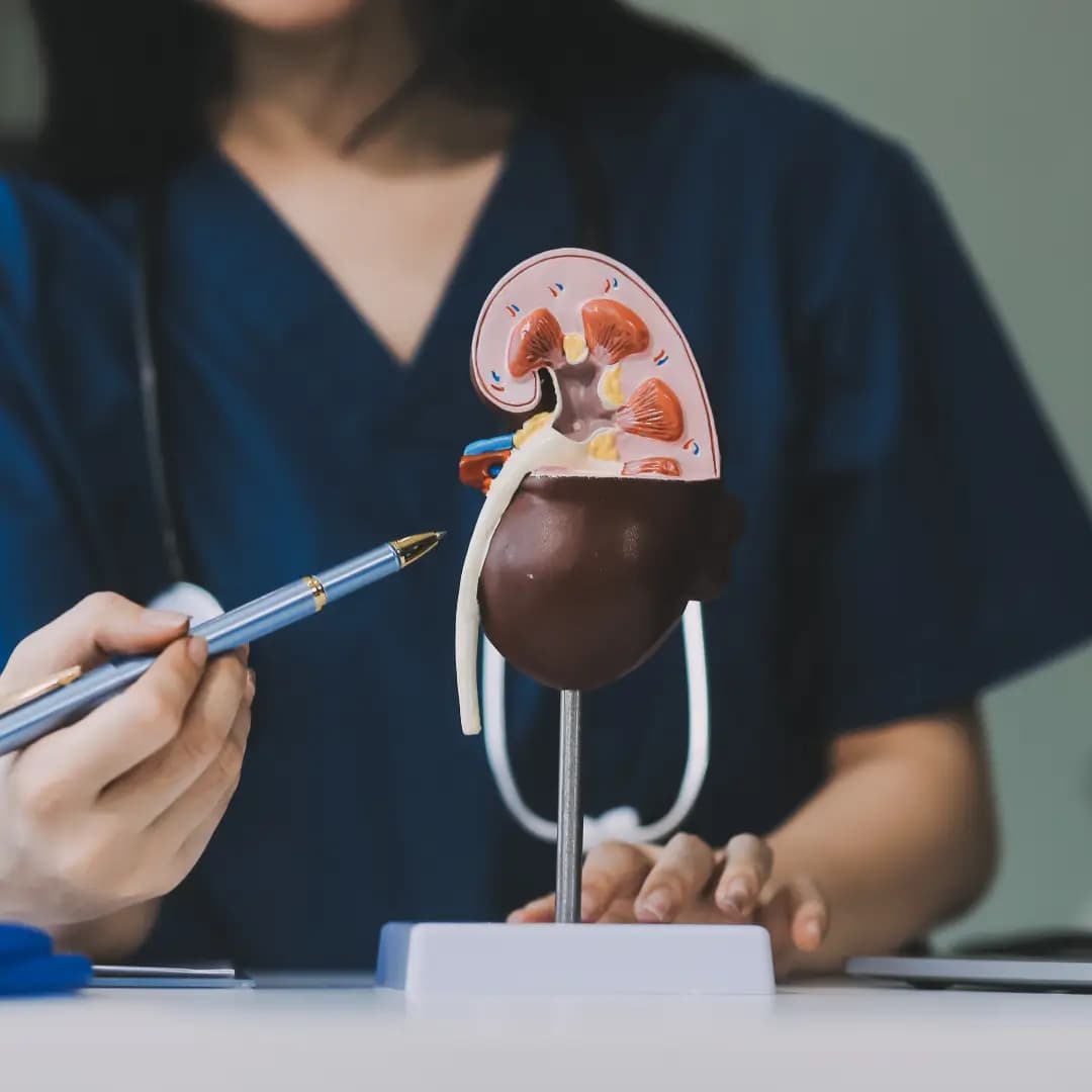 Nephrologist